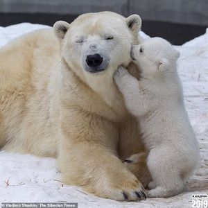 Meet your Posher, Kat